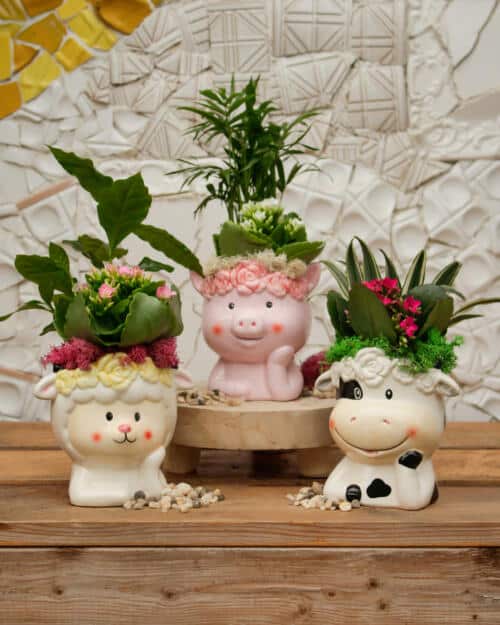 The Watering Can | This kit features an animal pot of your choice pig, sheep or cow and it comes with 2 plants, soil and moss.