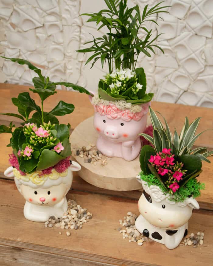 Country Cutie - DIY - Image 5
