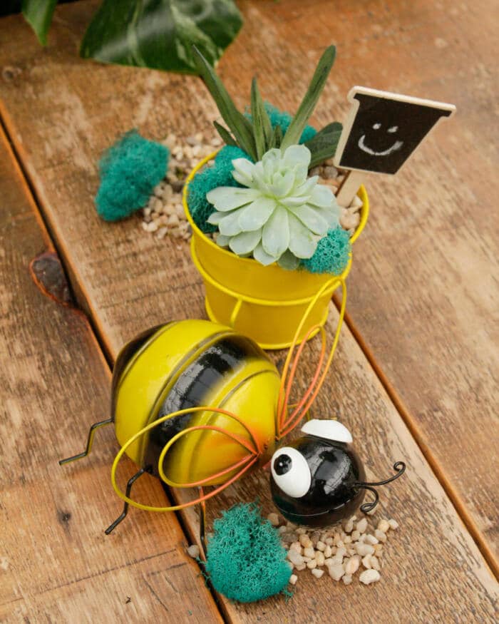 The Watering Can | This DIY kits features a tin pot with a bumblebee attached to it and 2 succulents, moss, soil and decorations.