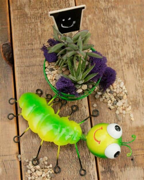 The Watering Can | This DIY kit features a tin pot with a tin caterpillar attached to it and 2 succulents, moss, soil and decorations.