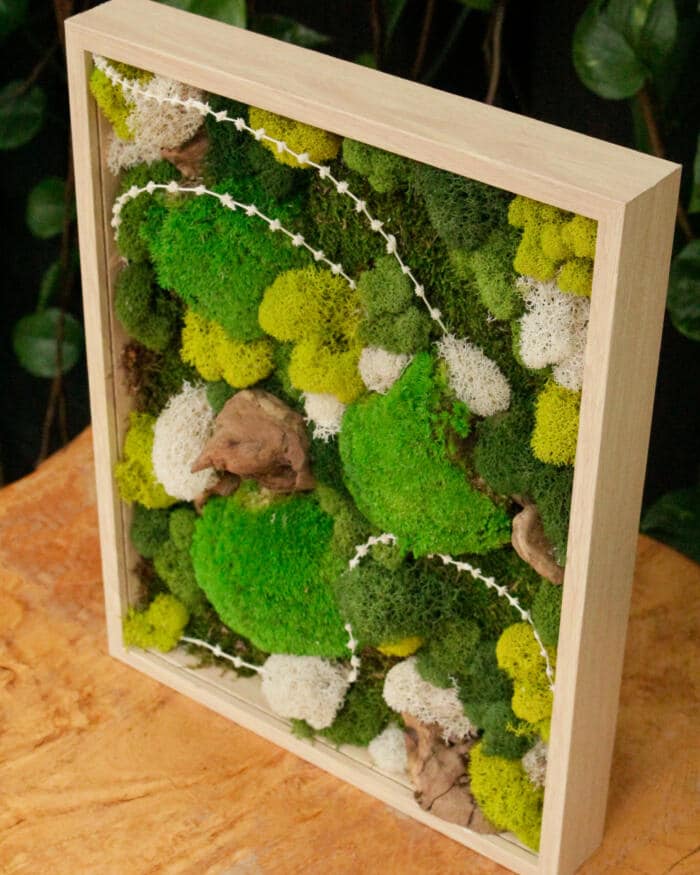 Moss Art - DIY - Image 2
