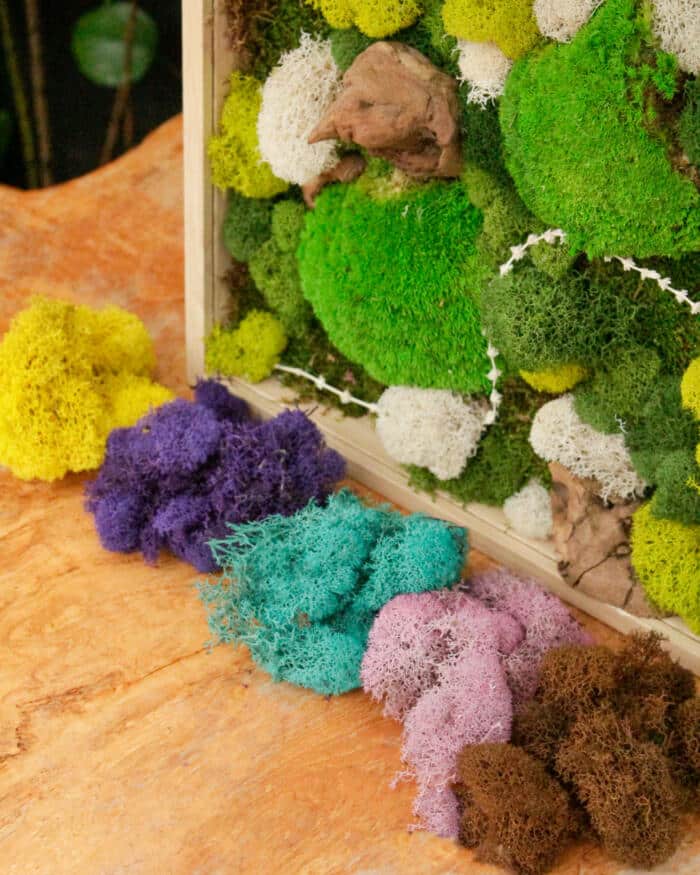 Moss Art - DIY - Image 3
