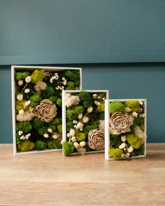 Moss Art Collection - DIY - Image 2