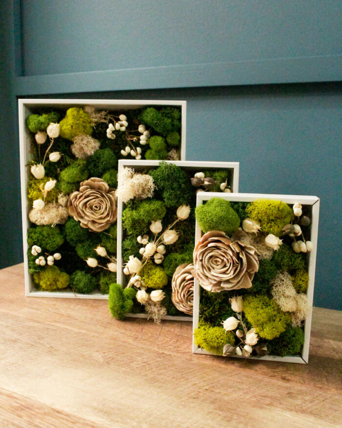 The Watering Can | This DIY features 3 frames that you will fill with mosses and decorations to create your works of art.