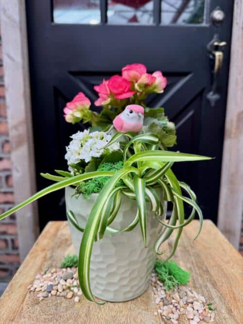 The Watering Can | This kit features a begonia, kalanchoe and mini tropical in a soft green ceramic pot with moss and a bird decoration.