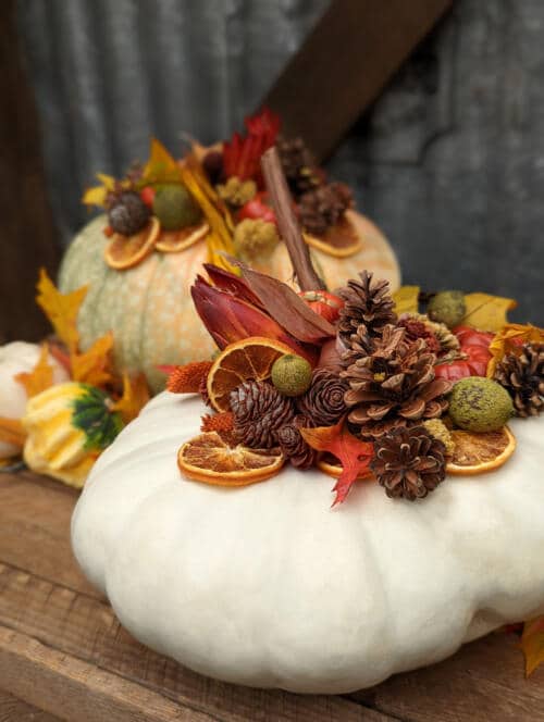 Pumpkin Spice