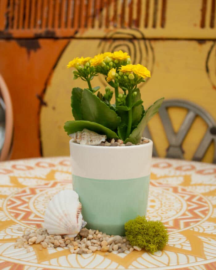 Rootin' for Summer - DIY - Image 2
