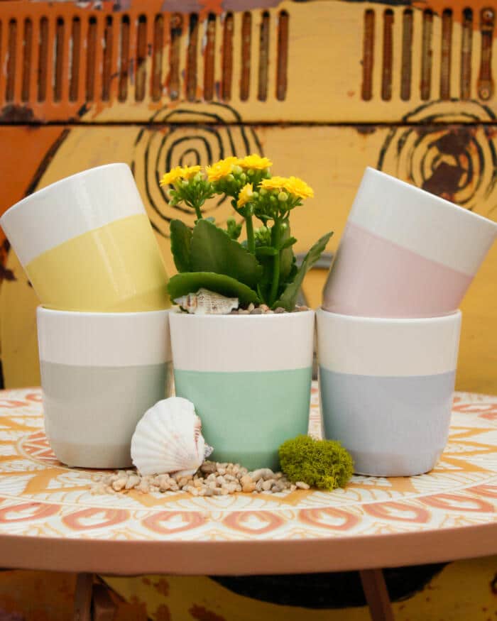 Rootin' for Summer - DIY - Image 3