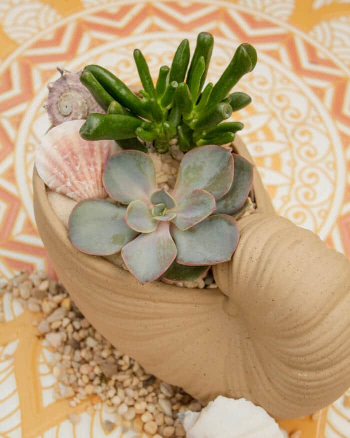 Coastal Charm (Beige) - DIY - Image 2