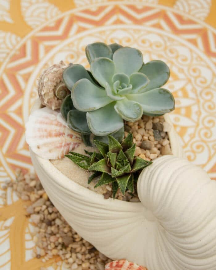 Coastal Charm (White) - DIY - Image 2