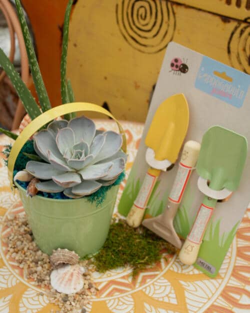 The Watering Can | This kit is made in a tin pail, come with a shovel, rake and spade, 2 succulents, stones, moss, sand and seashells.