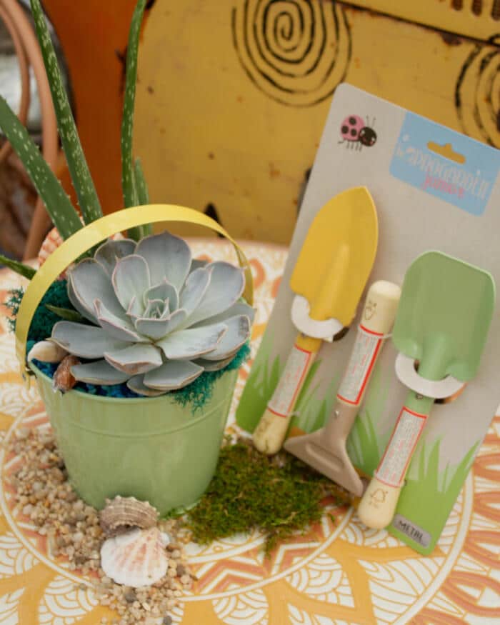 The Watering Can | This kit is made in a tin pail, come with a shovel, rake and spade, 2 succulents, stones, moss, sand and seashells.
