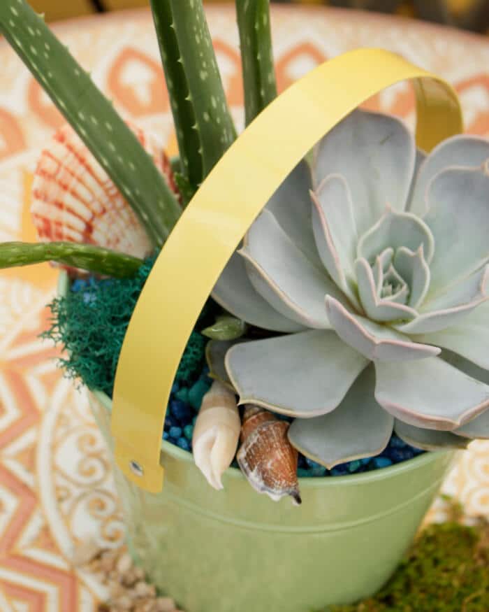 Little Diggers Beach Kit - DIY - Image 2