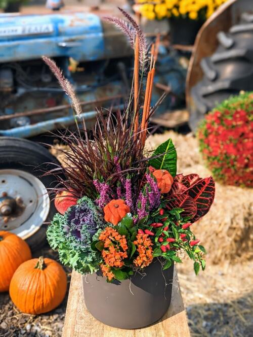 Autumn Roots Planter