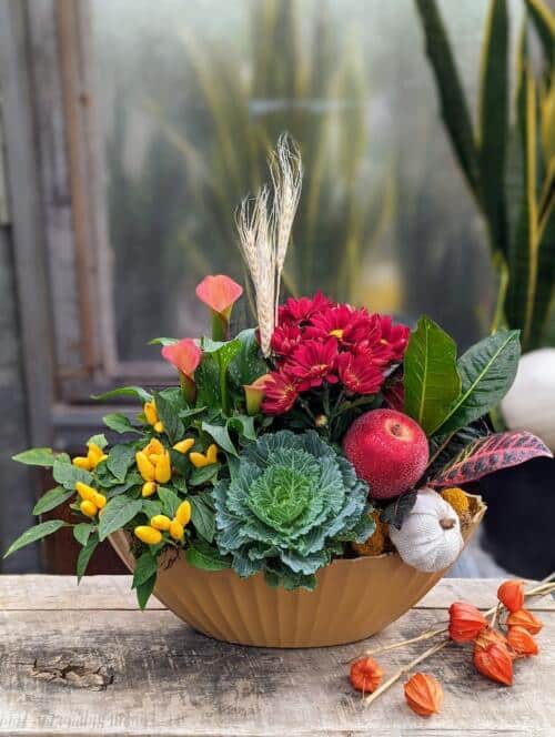 Fall In Bloom  