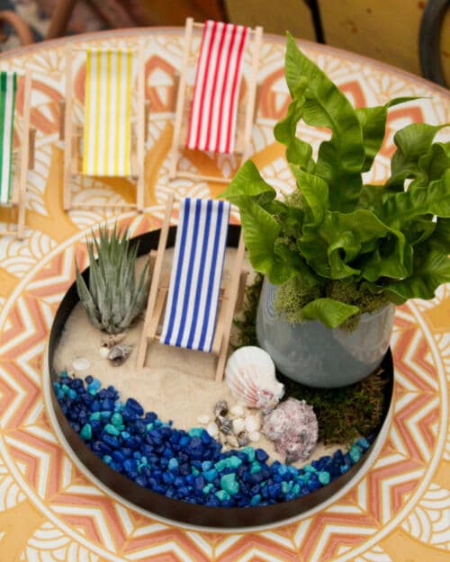 The Watering Can | This kit features a serene beach scene complete with sand, blue stones, seashells, a beach chair, air plant and crispy wave plant.