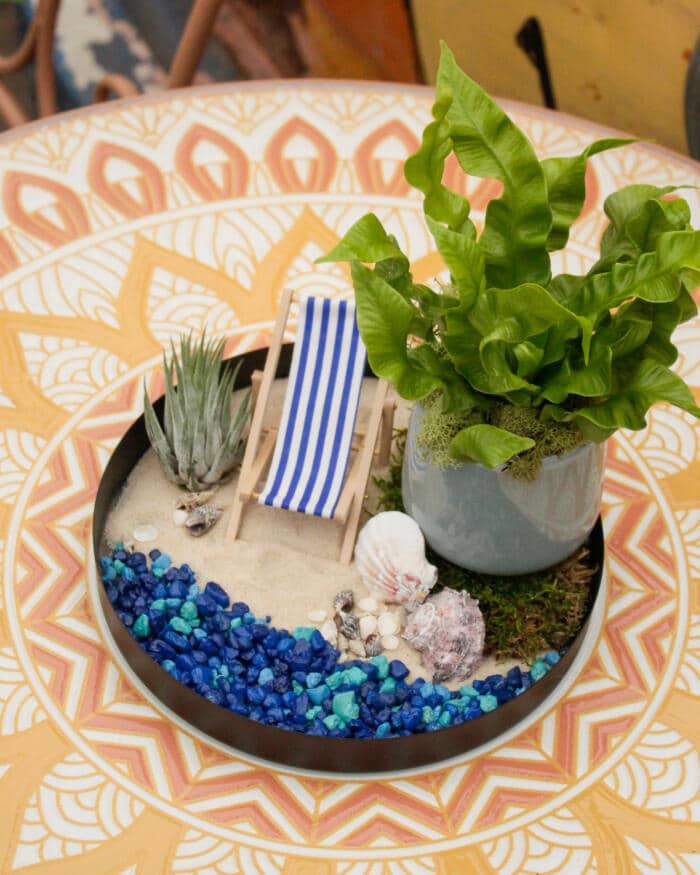 The Watering Can | This kit features a serene beach scene complete with sand, blue stones, seashells, a beach chair, air plant and crispy wave plant.