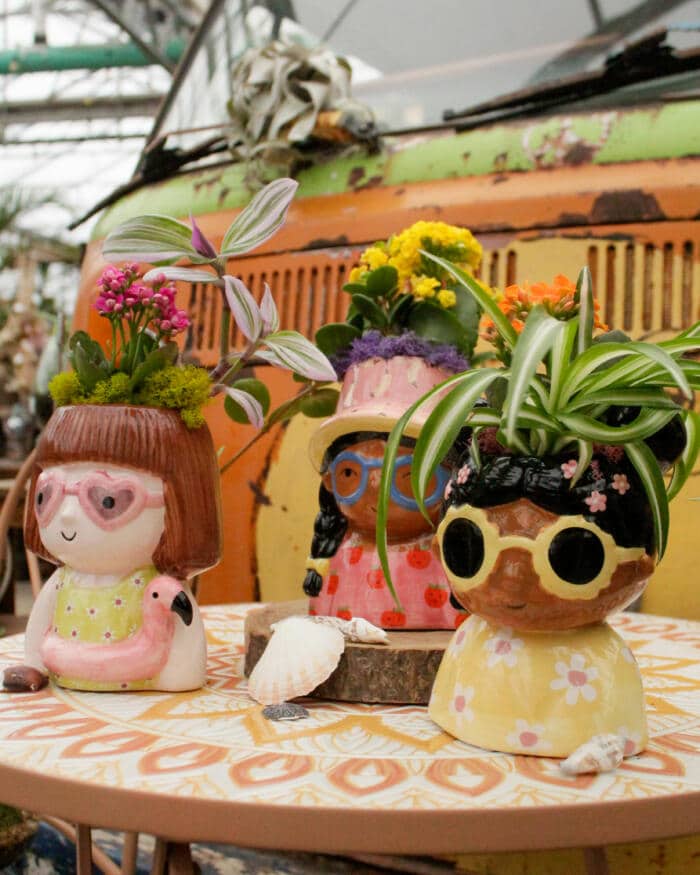 The Watering Can | This kit features your choice of 3 pots, each shaped like a summer themed girl and comes with 2 plants, moss and soil.