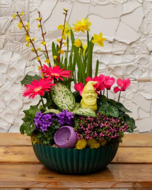 Gnome Sweet Gnome: A Spring Garden Bowl Workshop