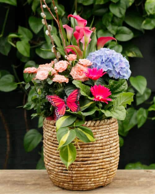 Springtime Bloom Basket
