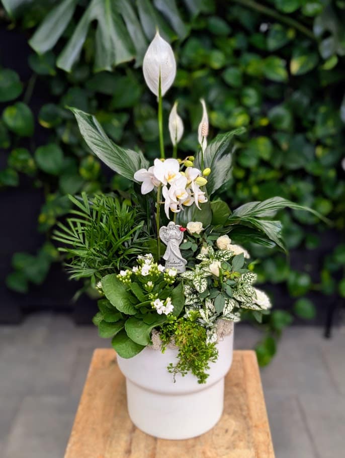 A Garden of Peace sympathy arrangement with a peace lily, orchid, parlour palm, tropical greenery, and an angel figurine in a white ceramic pot