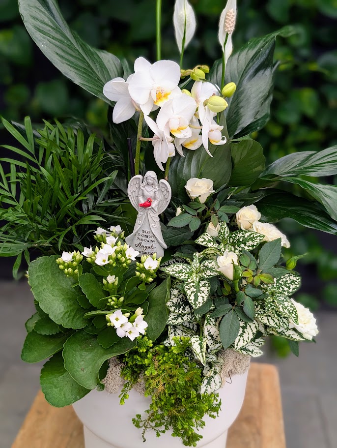 Garden of Peace - Image 2