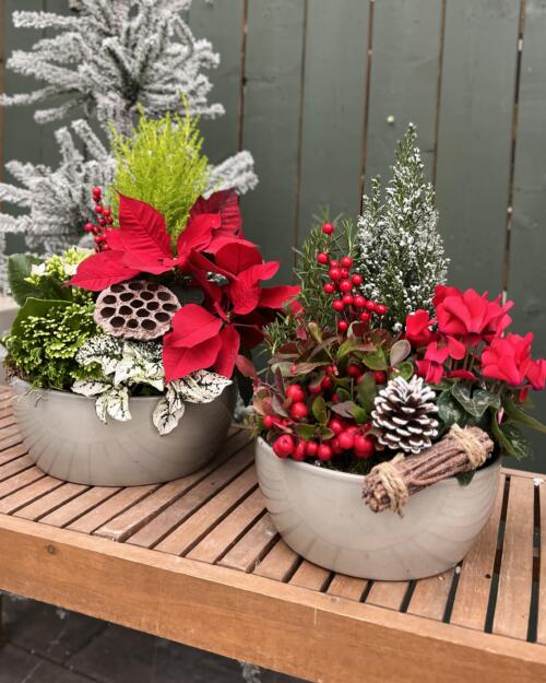 Merry & Bright Planter Workshop