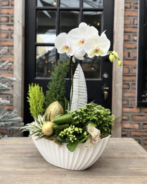 Winter Luxe Orchid Planter