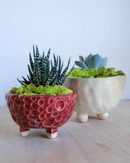 Pottery Extravaganza
