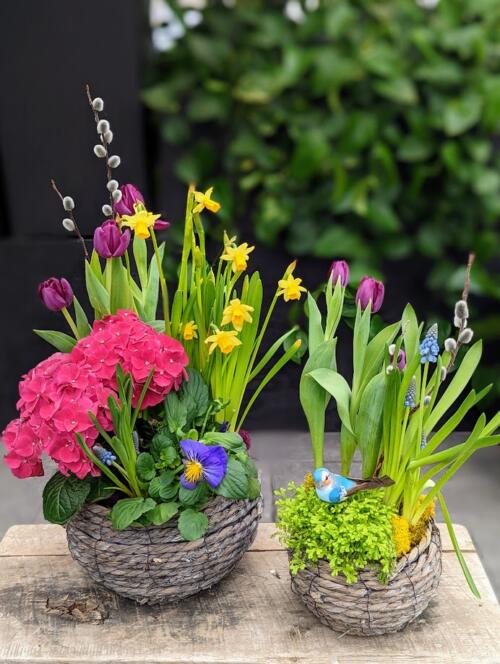 Blooming Basket Duo