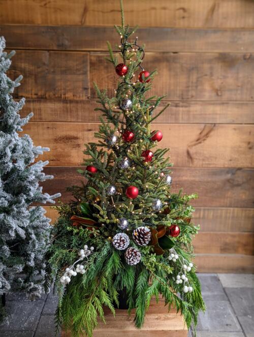 Winter Urn of Lights