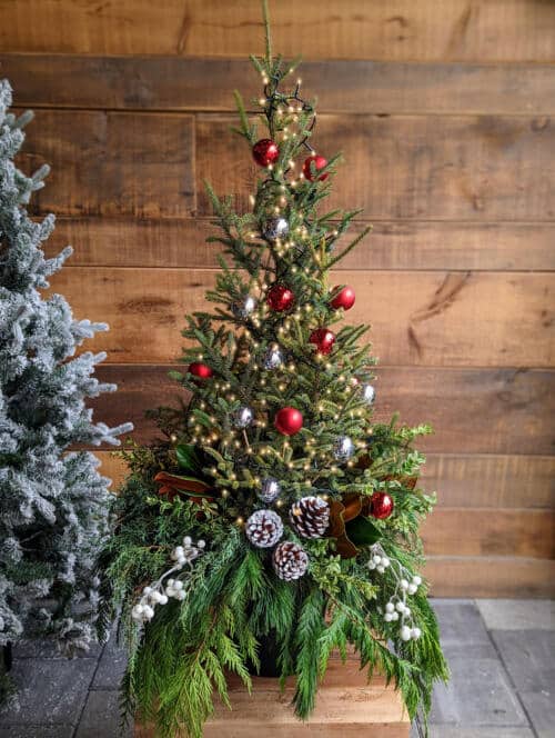 Winter Urn of Lights