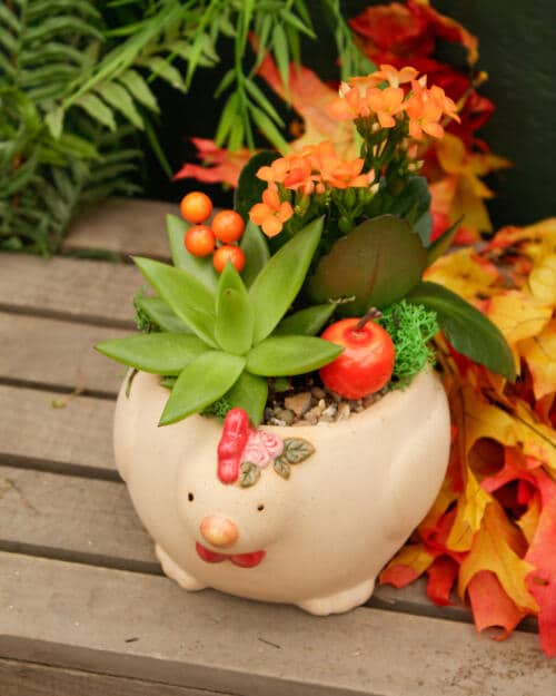 Henrietta's Harvest