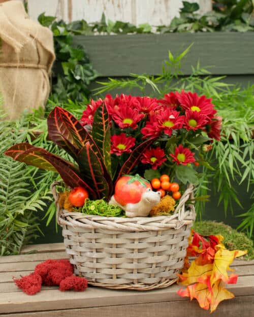 Rustic Treasures