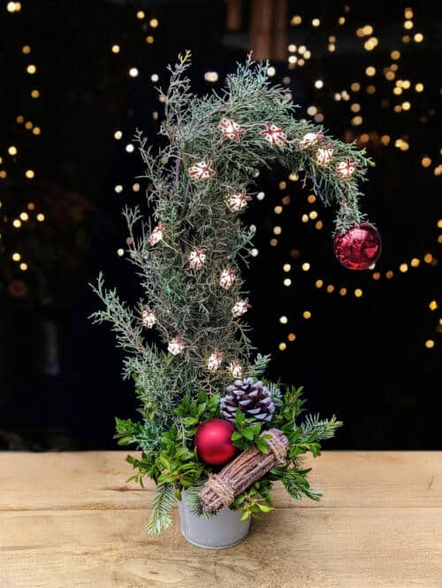 Kids Grinch Tree ages 4 -10 