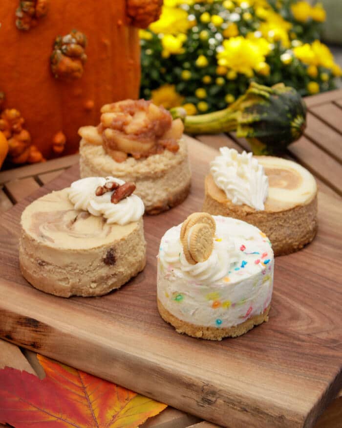 Autumn Harvest Cheesecake Collection - Image 5