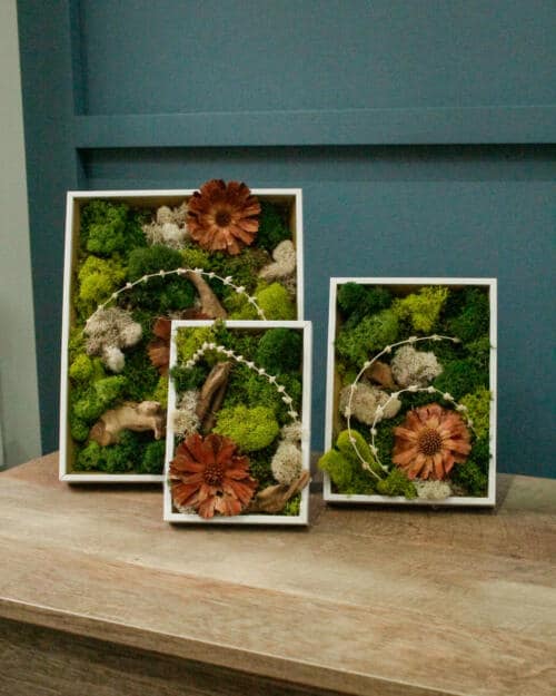 Moss Art Collection