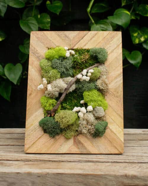 Moss Art