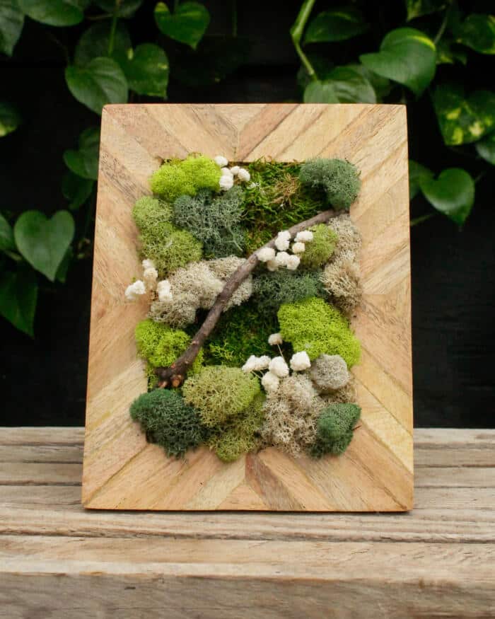 Moss Art