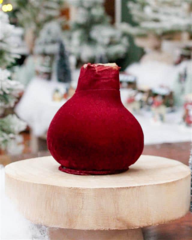 Velvet Bordeaux Amaryllis