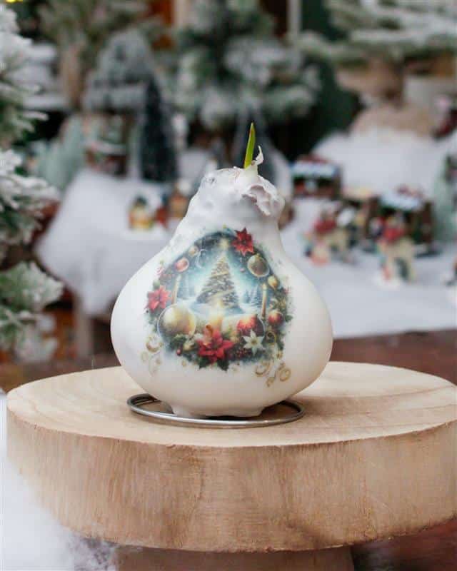 Christmas Eve Amaryllis - Image 3