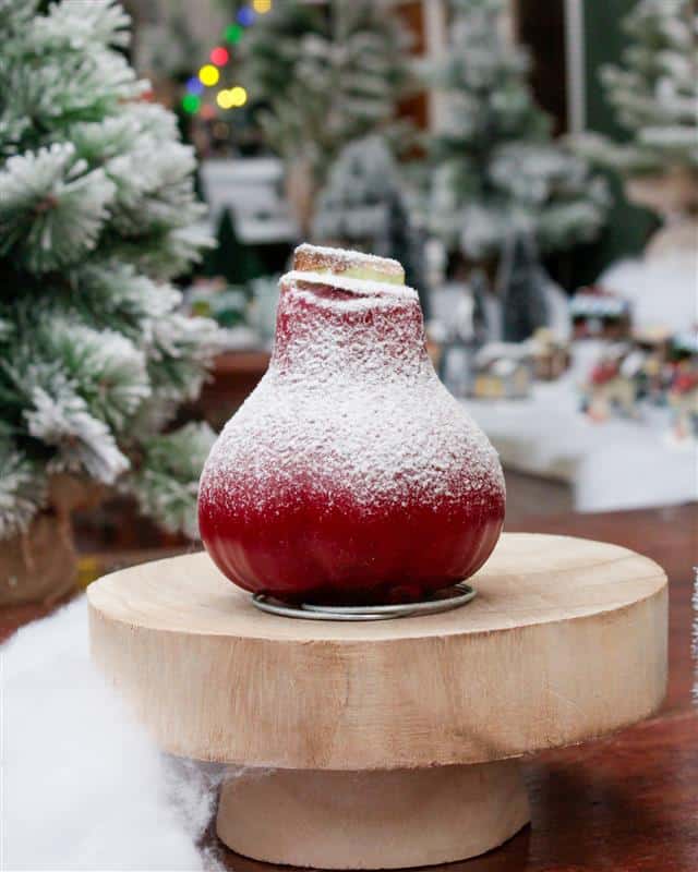 Snow Amaryllis - Image 2