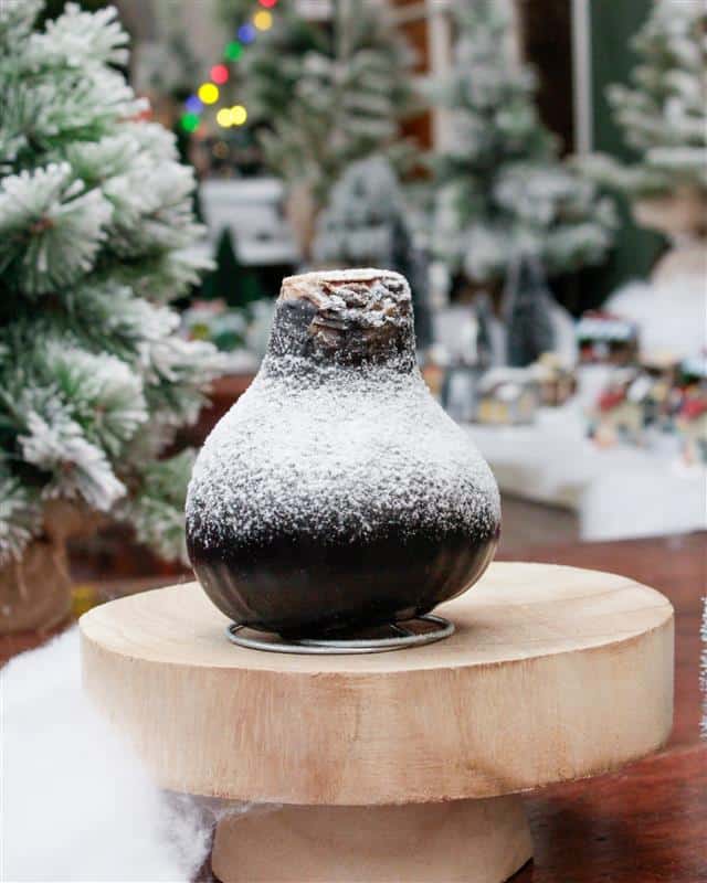 Snow Amaryllis - Image 4