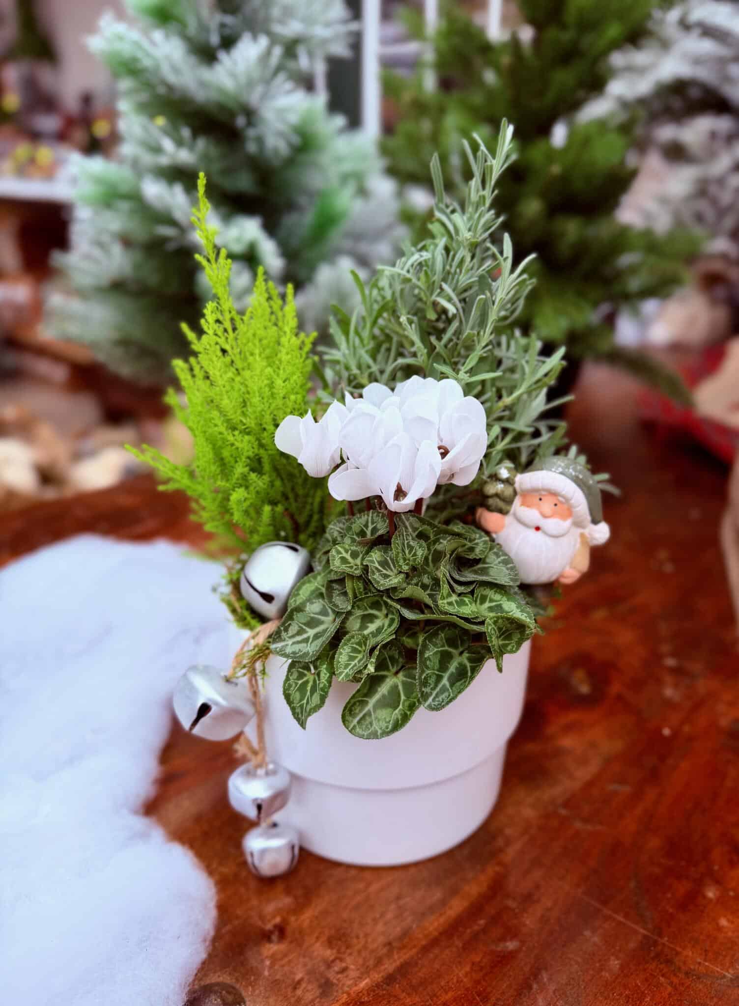 Silver Frost Planter