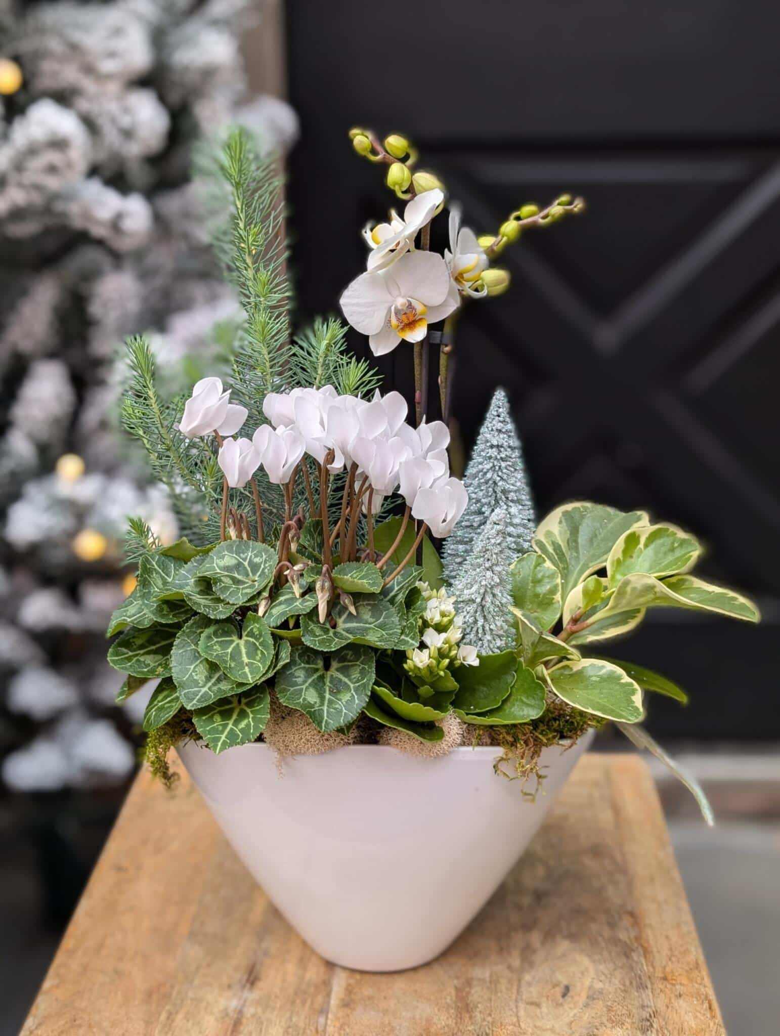 Icy Elegance