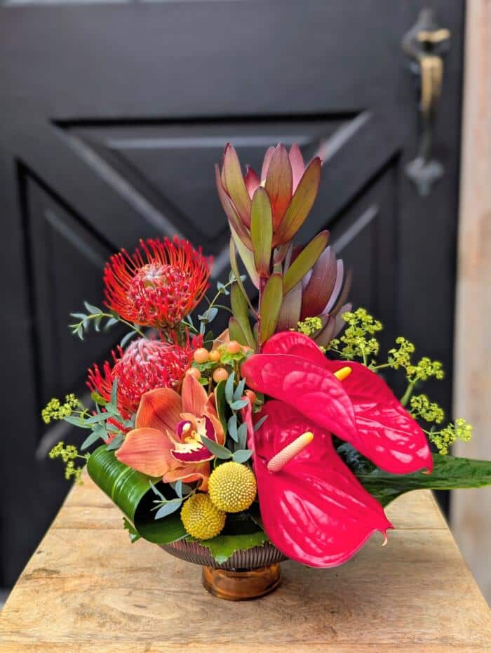 Tropical Fiesta