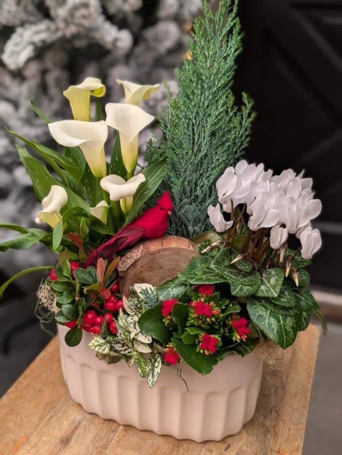 Warm Winter Wishes - Image 2