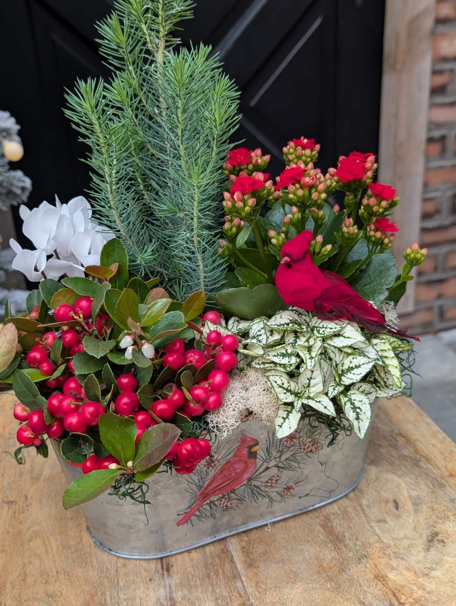 Winter Garden Grace - Image 2