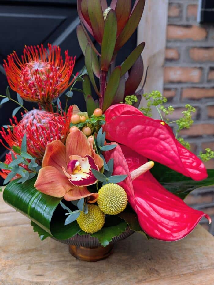 Tropical Fiesta - Image 2