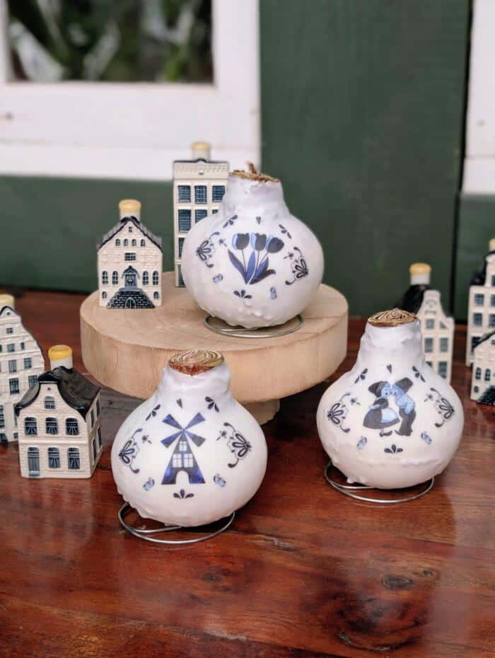 Delft Wax Amaryllis